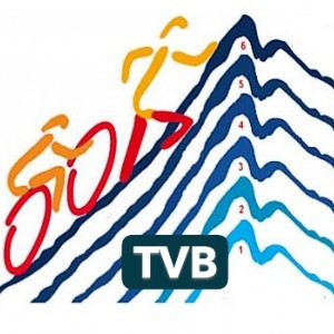 TVB