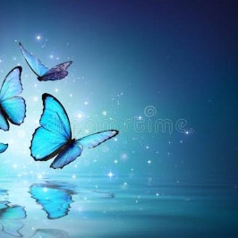 Team Butterfly uit de May